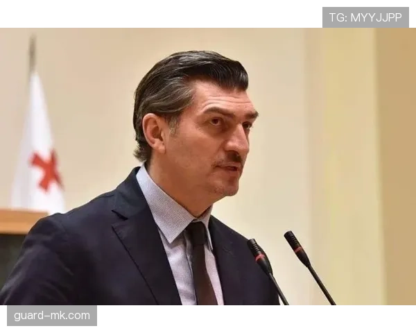 格鲁吉亚首次晋级欧锦赛，表现稳健展现竞争力增强的历史时刻